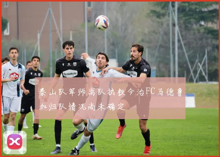 泰山队军师离队执教今治FC马德鲁加归队情况尚未确定