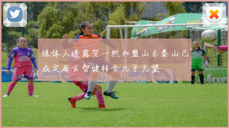 媒体人透露贺一然加盟山东泰山已成定局玄智健转会几乎无望