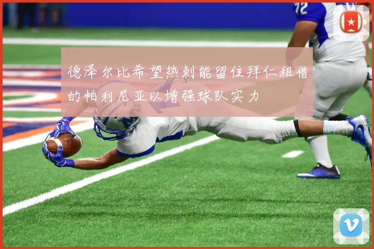 德泽尔比希望热刺能留住拜仁租借的帕利尼亚以增强球队实力